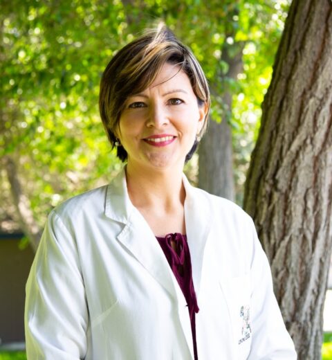 Top Cardiologists, Orthopedic Surgeons, and Gynecologists